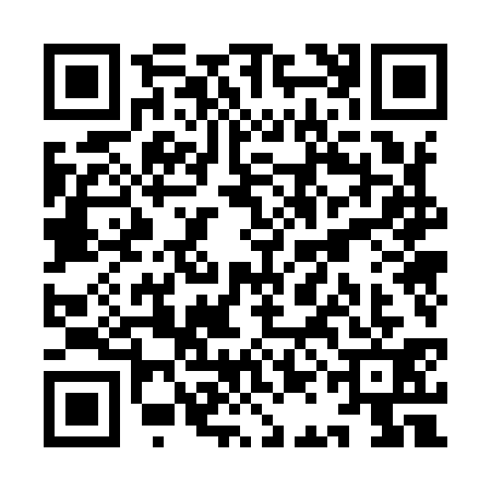 QR code for YAO9313