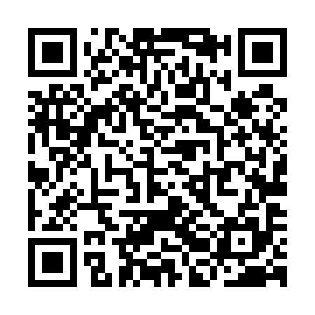 QR code for YBL595