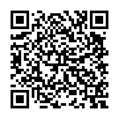QR code for YEJ411