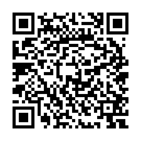 QR code for YIE2023