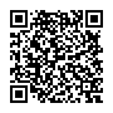 QR code for YIR873