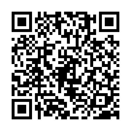 QR code for YLG2493