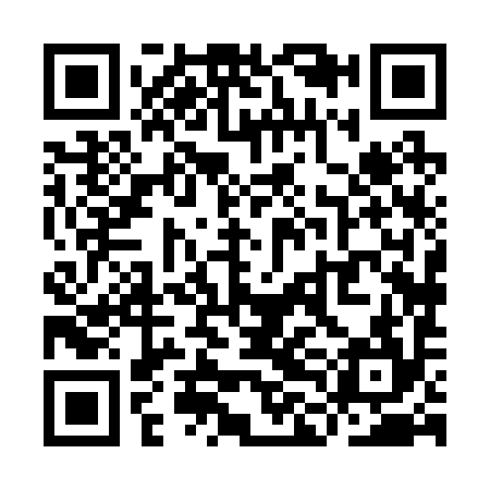 QR code for YLH294
