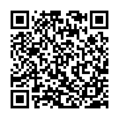 QR code for YLL307