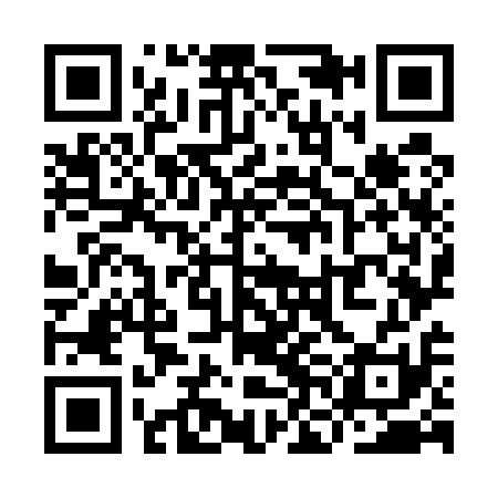 QR code for YNO511