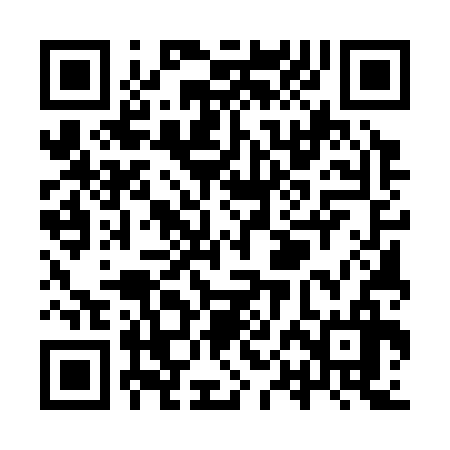 QR code for YPE336