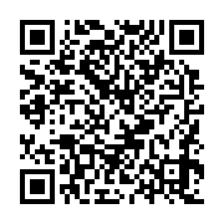QR code for YPL379