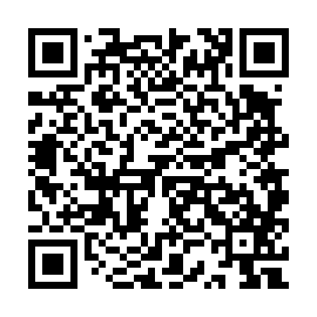 QR code for YSF487