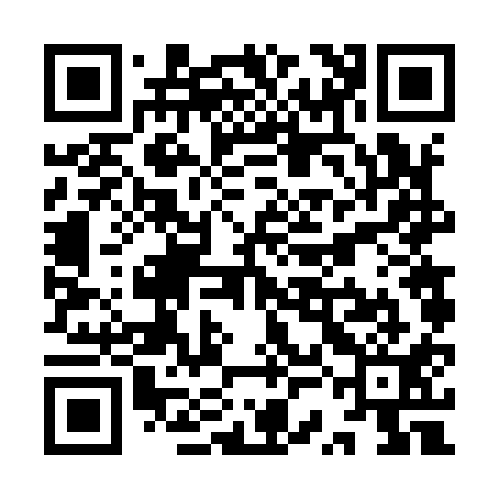 QR code for YSF911