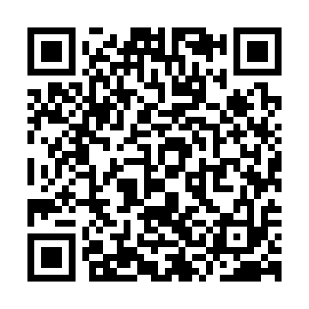 QR code for YSM313