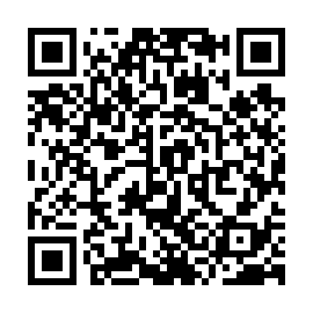 QR code for YSM638