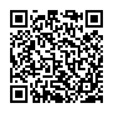 QR code for YSS497