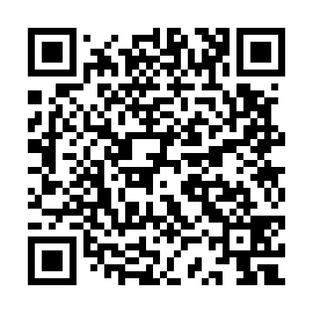 QR code for YSS539