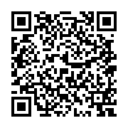QR code for YTQ0919