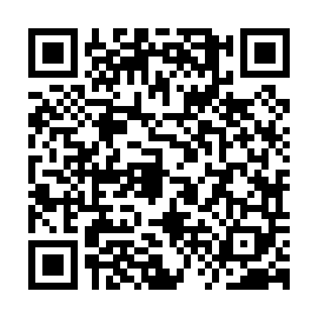 QR code for YVJ0493