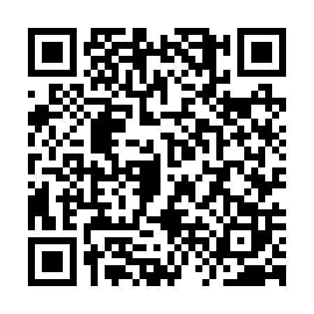 QR code for YVO2025