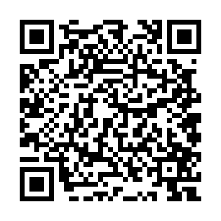 QR code for YYF0079