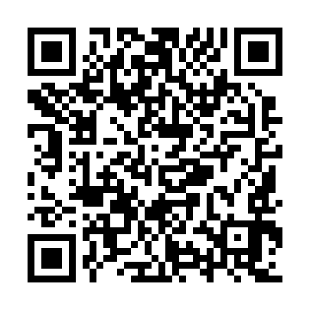QR code for YYI293
