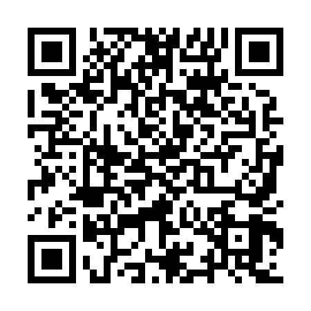 QR code for YYI8493
