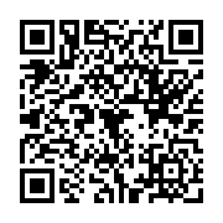 QR code for YYN4463