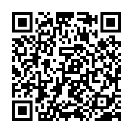 QR code for YYZ239