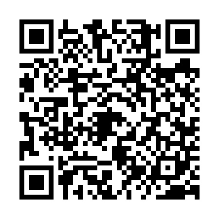 QR code for YZV6415