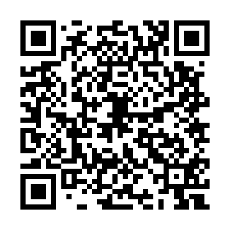 QR code for ZBJ511