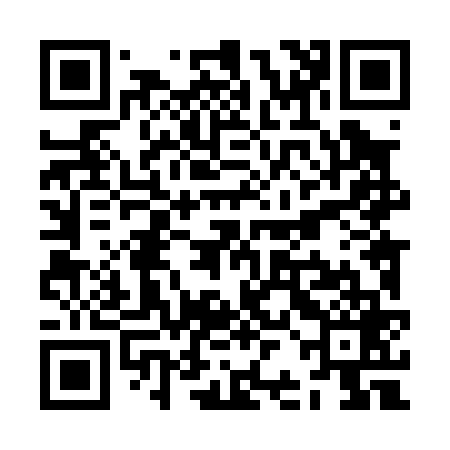 QR code for ZBL069