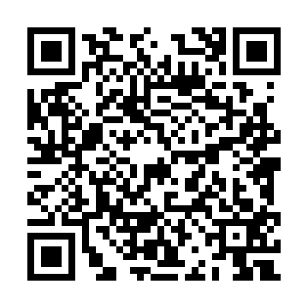 QR code for ZBL3131