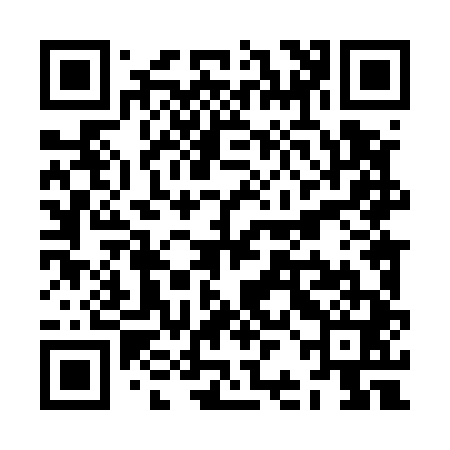 QR code for ZBL541