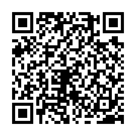 QR code for ZCG6333