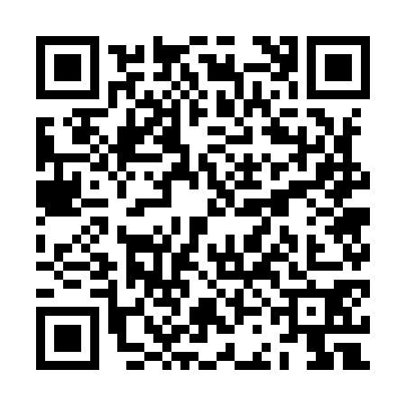 QR code for ZCG9706