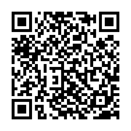 QR code for ZCL595