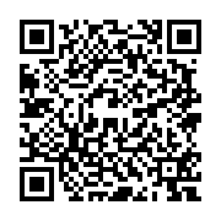 QR code for ZDI4111