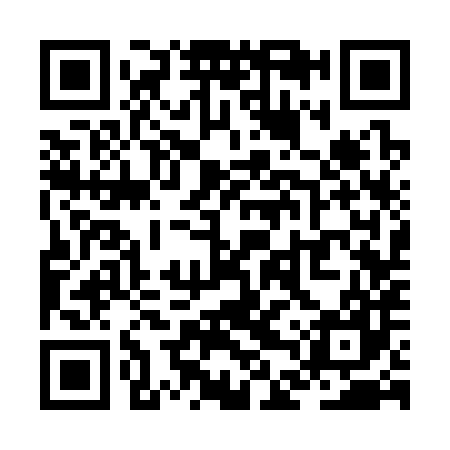 QR code for ZDS387