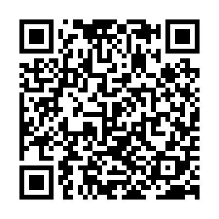 QR code for ZFC208