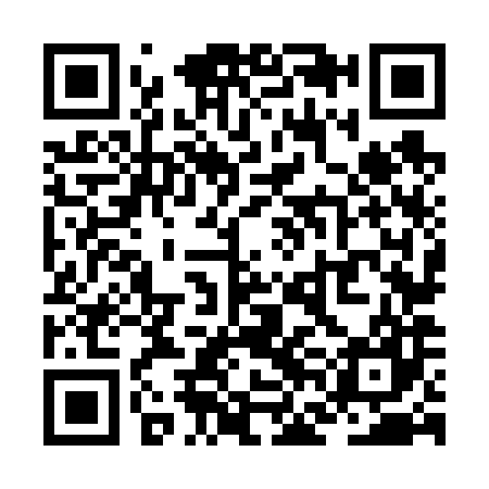 QR code for ZFN687