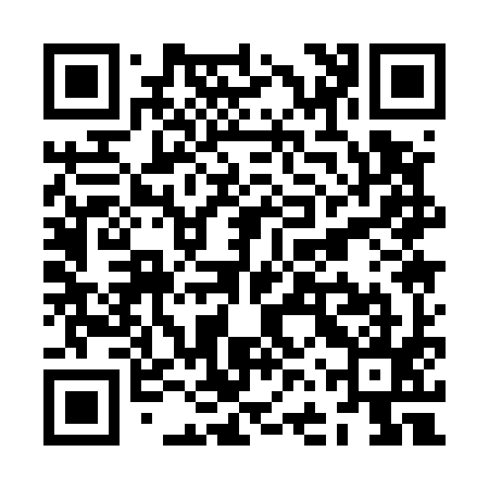 QR code for ZFQ595