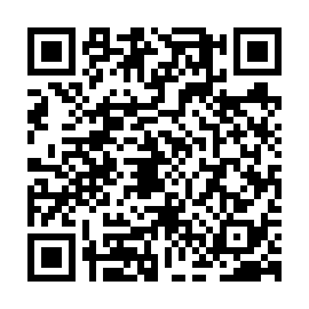 QR code for ZFU6381