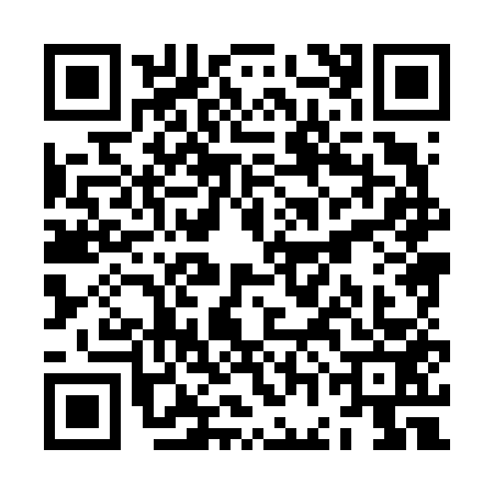 QR code for ZGH6533