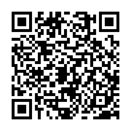QR code for ZGP3812