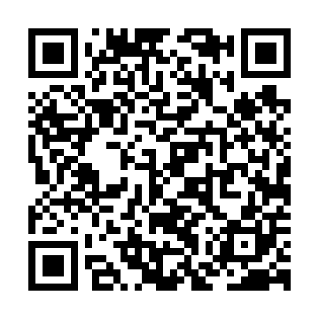 QR code for ZGT600