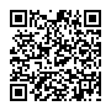 QR code for ZII817