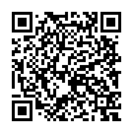QR code for ZIL533
