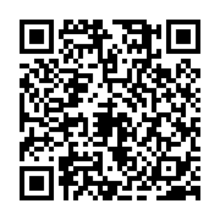 QR code for ZIY0398