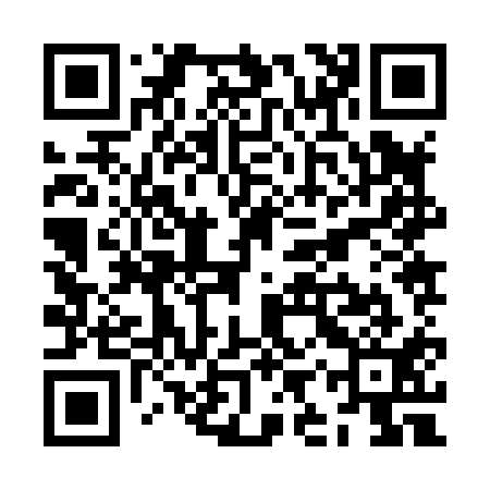 QR code for ZIZ811
