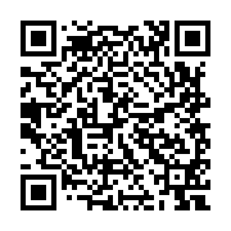 QR code for ZJR990