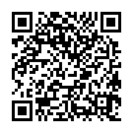 QR code for ZKG385