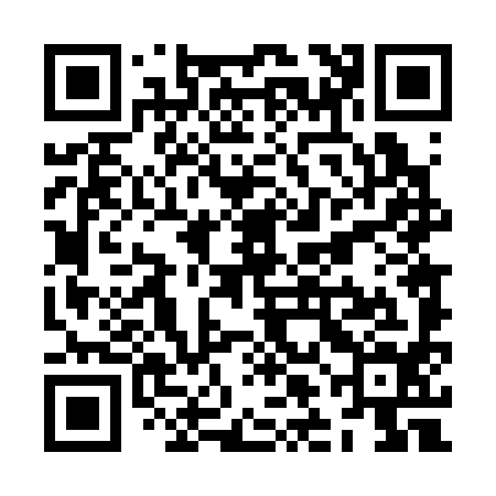 QR code for ZLD394