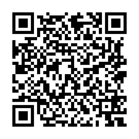 QR code for ZLI8685
